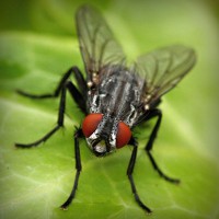 /album/gorxyacerre/photolia-a01-jpg/