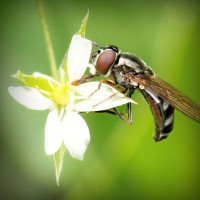 /album/gorxyacerre/photolia-a02-jpg/