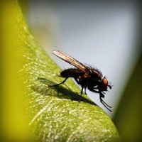 /album/gorxyacerre/photolia-a04-jpg/