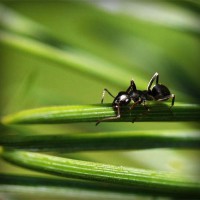 /album/gorxyacerre/photolia-a05-jpg/