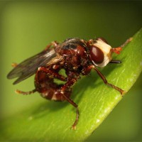 /album/gorxyacerre/photolia-a06-jpg/