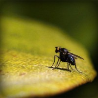 /album/gorxyacerre/photolia-a07-jpg/