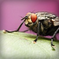 /album/gorxyacerre/photolia-a08-jpg/